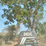 PCGO cumpre mandado de prisão preventiva de acusado por homicídio foragido do Rio de Janeiro – Policia Civil do Estado de Goiás