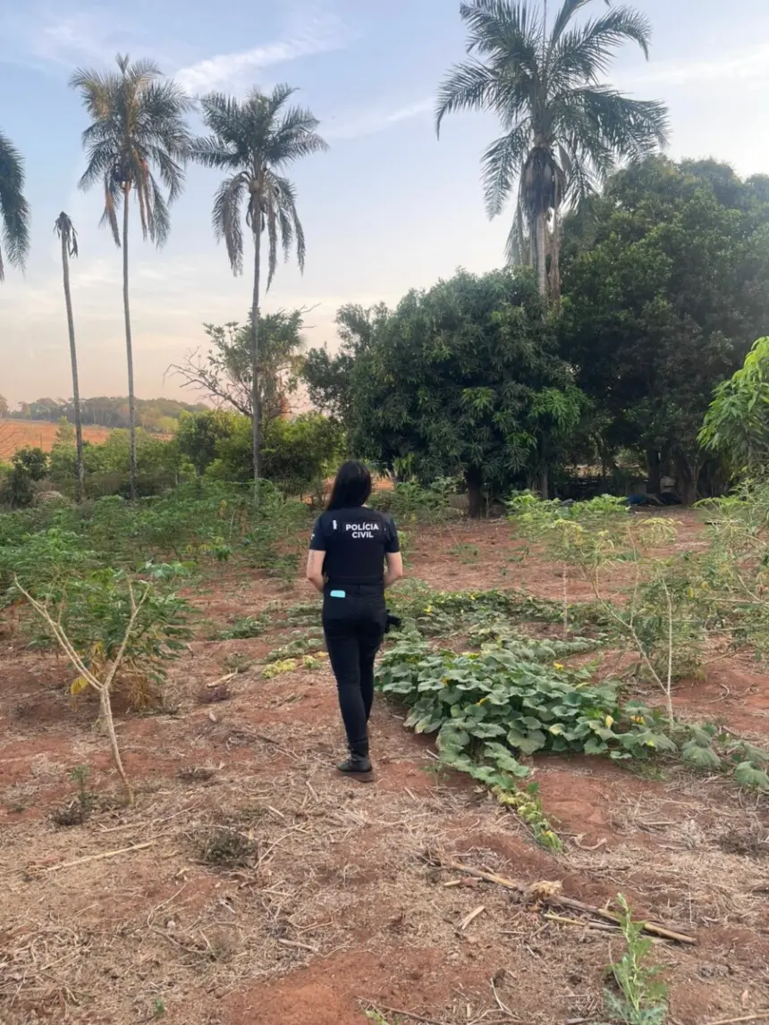 PCGO desarticula grupo criminoso envolvido com tráfico de drogas em Caçu – Policia Civil do Estado de Goiás PCGO desarticula grupo criminoso envolvido com tráfico de drogas em Caçu – Policia Civil do Estado de Goiás