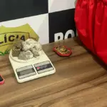 PCGO e PMGO prendem mulher em flagrante por tráfico de drogas via delivery em Paraúna – Policia Civil do Estado de Goiás