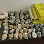 PCGO e PMGO prendem suspeitos de homicídio e apreendem grande quantidade de entorpecentes – Policia Civil do Estado de Goiás PCGO e PMGO prendem suspeitos de homicídio e apreendem grande quantidade de entorpecentes – Policia Civil do Estado de Goiás