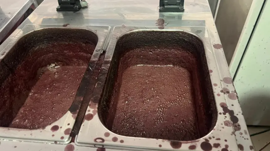 PCGO e Vigilância Sanitária interditam açaiteria em Goiânia por risco à saúde pública – Policia Civil do Estado de Goiás