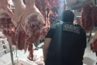 PCGO prende dono de açougue por vender carne furtada e imprópria para consumo em Luziânia – Policia Civil do Estado de Goiás