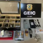 PCGO prende homem por furto de joais avaliadas em aproximadamente R$ 10 mil reais – Policia Civil do Estado de Goiás