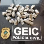 PCGO prende investigada e apreende drogas na segunda fase da Operação Matraga em Mineiros – Policia Civil do Estado de Goiás