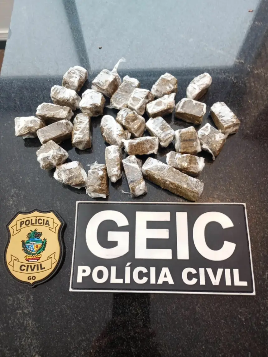 PCGO prende investigada e apreende drogas na segunda fase da Operação Matraga em Mineiros – Policia Civil do Estado de Goiás