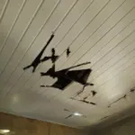 PCGO prende jovem em flagrante por ameaçar e danificar bens da própria avó em Palmeiras de Goiás – Policia Civil do Estado de Goiás