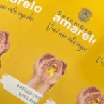 PCGO promove palestra sobre saúde mental em alusão ao Setembro Amarelo – Policia Civil do Estado de Goiás