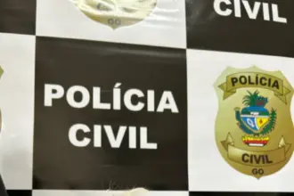 PCGO recupera em Catalão filhote de Shih Tzu furtado na porta de residência – Policia Civil do Estado de Goiás