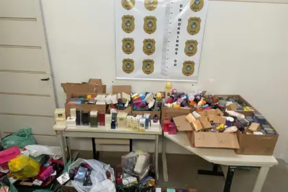 Polícia Civil cumpre buscas e apreende cosméticos e perfumes furtados de empresa em Morrinhos – Policia Civil do Estado de Goiás