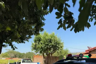 Polícia Civil prende em flagrante autor de furto de hidrômetro após comunicação da Saneago – Policia Civil do Estado de Goiás