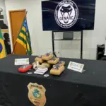 Polícia Civil apreende R$ 100 mil em drogas e prende casal responsável pelo tráfico em Anápolis – Policia Civil do Estado de Goiás