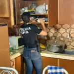 PCGO cumpre buscas em investigação de ameaça e porte ilegal de arma em Firminópolis e mais duas cidades – Policia Civil do Estado de Goiás