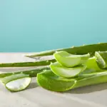 5 benefícios da aloe vera para a pele