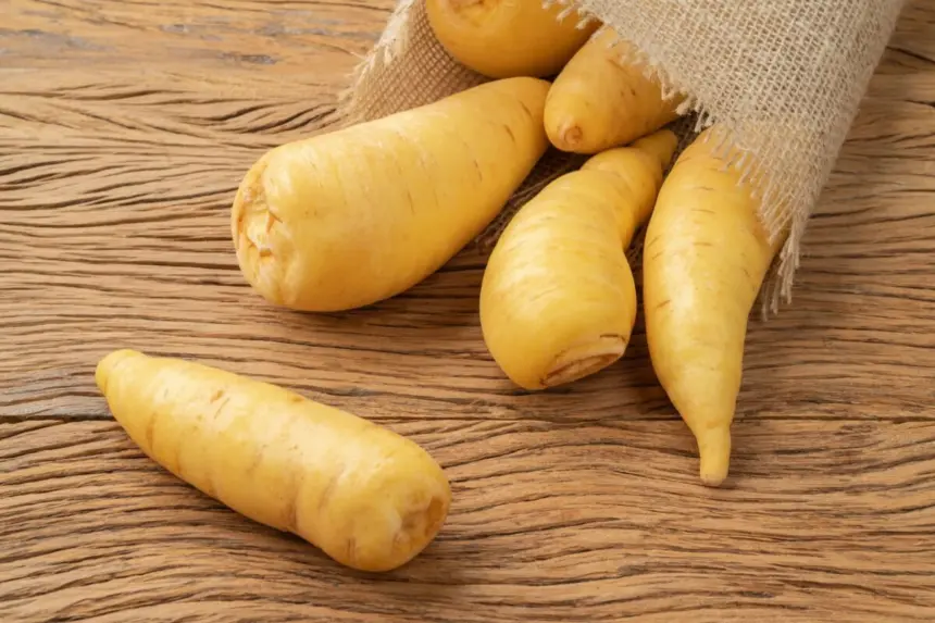 5 benefícios da mandioquinha para a saúde