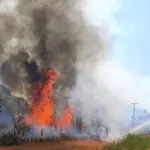 Bombeiros de Goianésia combatem incêndio em canavial na GO-080 e outros 3 grandes incêndios