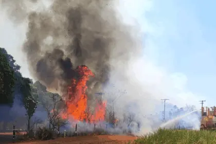 Bombeiros de Goianésia combatem incêndio em canavial na GO-080 e outros 3 grandes incêndios