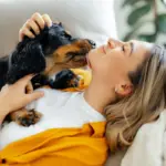 12 nomes perfeitos para cachorros carinhosos 