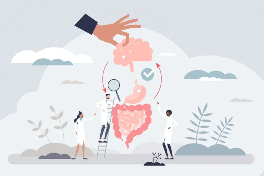 Entenda como o estresse pode resultar em problemas gastrointestinais  Entenda como o estresse pode resultar em problemas gastrointestinais