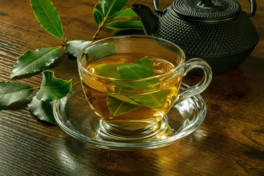 6 receitas de chá de louro para melhorar a digestão 6 receitas de chá de louro para melhorar a digestão