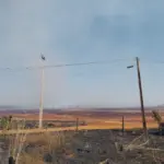 Equatorial Goiás registra mais de 30 ocorrências de queimadas nos primeiros dias de setembro Equatorial Goiás registra mais de 30 ocorrências de queimadas nos primeiros dias de setembro