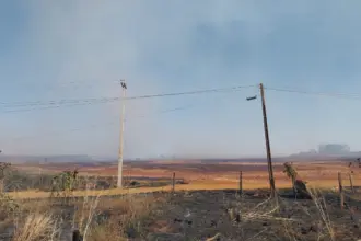 Equatorial Goiás registra mais de 30 ocorrências de queimadas nos primeiros dias de setembro