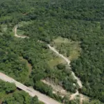 Esquema de estelionato em Barro Alto prometia 69 lotes em área preservada