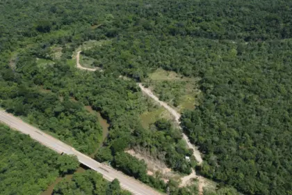 Esquema de estelionato em Barro Alto prometia 69 lotes em área preservada Esquema de estelionato em Barro Alto prometia 69 lotes em área preservada