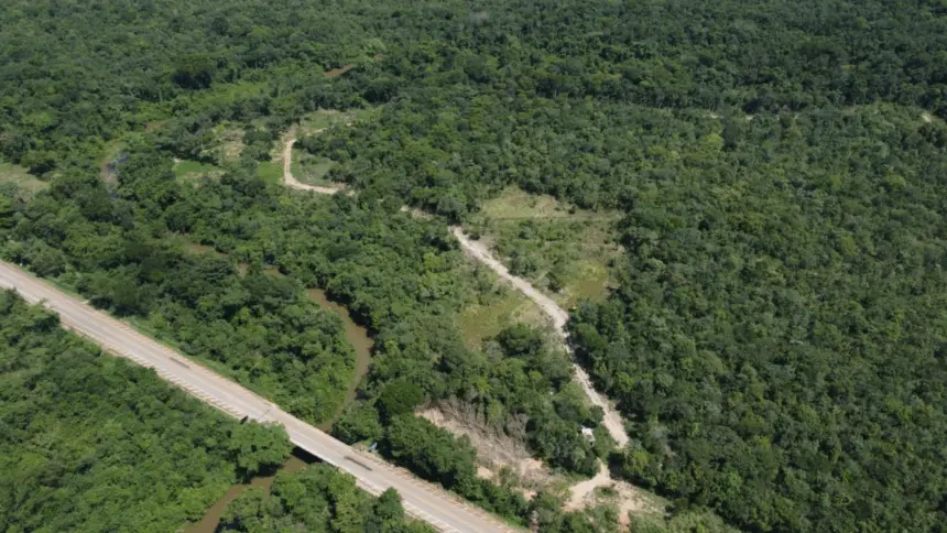 Esquema de estelionato em Barro Alto prometia 69 lotes em área preservada Esquema de estelionato em Barro Alto prometia 69 lotes em área preservada
