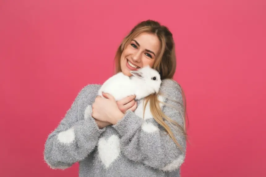 7 cuidados com coelhos de estimação 7 cuidados com coelhos de estimação