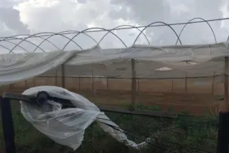 Mudança no tempo: primeiras chuvas já têm data para chegar em cidades que passam por seca