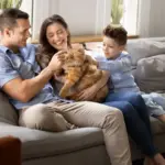 12 nomes perfeitos para gatos carinhosos 