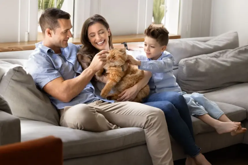 12 nomes perfeitos para gatos carinhosos  12 nomes perfeitos para gatos carinhosos