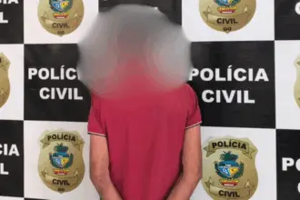 Polícia Civil de Goianésia prende homem por posse ilegal de armas e munições