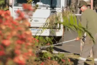 Prefeitura de Goianésia realiza manutenção no Parque da Lagoa Princesa do Vale