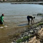 Prefeitura realiza grande mutirão no Parque da Lagoa Princesa do Vale nesta sexta