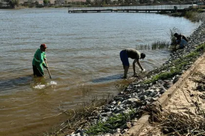 Prefeitura realiza grande mutirão no Parque da Lagoa Princesa do Vale nesta sexta