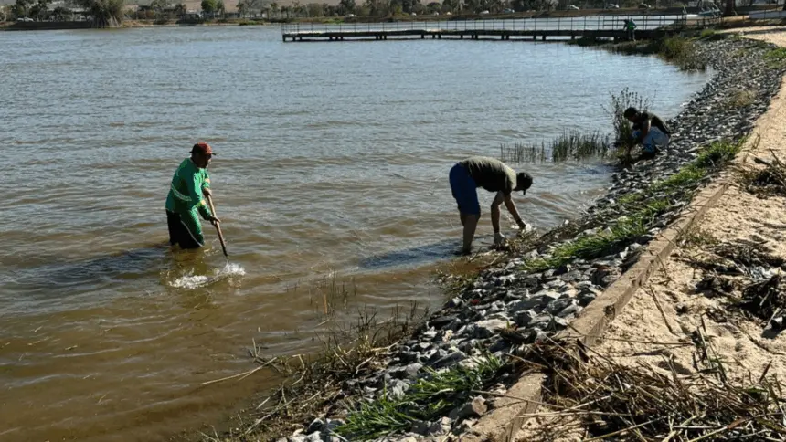 Prefeitura realiza grande mutirão no Parque da Lagoa Princesa do Vale nesta sexta Prefeitura realiza grande mutirão no Parque da Lagoa Princesa do Vale nesta sexta