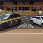 PRF intercepta cerca de 80 kg de drogas na GO-174