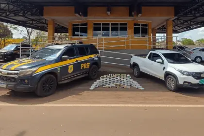 PRF intercepta cerca de 80 kg de drogas na GO-174