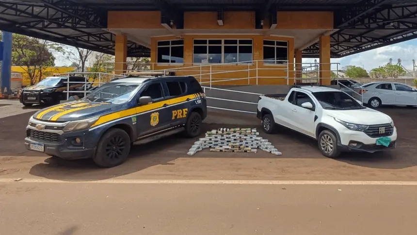 PRF intercepta cerca de 80 kg de drogas na GO-174