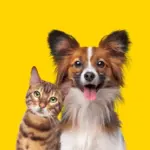 Saiba como identificar e combater piolhos, pulgas e carrapatos