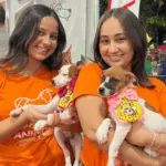 Secretaria de Meio Ambiente realiza feira de adoção de animais neste sábado na Praça do Granville