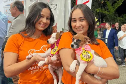 Secretaria de Meio Ambiente realiza feira de adoção de animais neste sábado na Praça do Granville