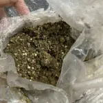 PCGO prende três integrantes de associação para o tráfico de drogas em Quirinópolis – Policia Civil do Estado de Goiás