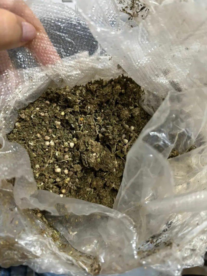 PCGO prende três integrantes de associação para o tráfico de drogas em Quirinópolis – Policia Civil do Estado de Goiás PCGO prende três integrantes de associação para o tráfico de drogas em Quirinópolis – Policia Civil do Estado de Goiás