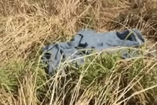 Urgente: Goianesiense é encontrada morta às margens de rodovia em Guapó