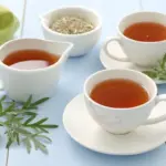 6 receitas de chá de losna e seus benefícios para a saúde