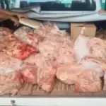 PCGO desarticula abatedouro clandestino e apreende grande quantidade de carne irregular em Niquelândia – Policia Civil do Estado de Goiás