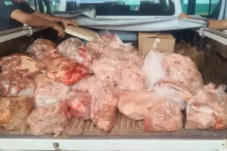 PCGO desarticula abatedouro clandestino e apreende grande quantidade de carne irregular em Niquelândia – Policia Civil do Estado de Goiás