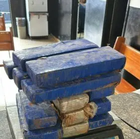 PCGO e PMGO apreendem drogas que estavam enterradas em uma casa de Caldas Novas – Policia Civil do Estado de Goiás